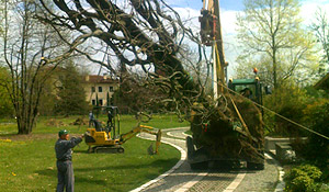 I servizi di Martinuzzo Rugiano